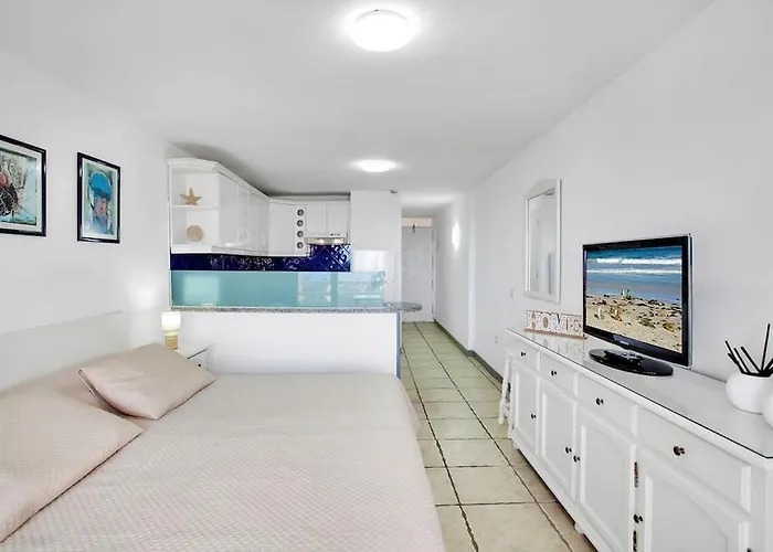 Michele Playa De Americas 公寓 *